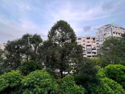 Blk 656 Woodlands Ring Road (Woodlands), HDB Executive #621763541